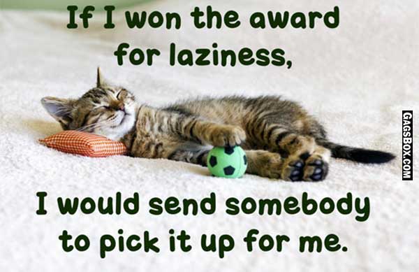 Too Much Laziness